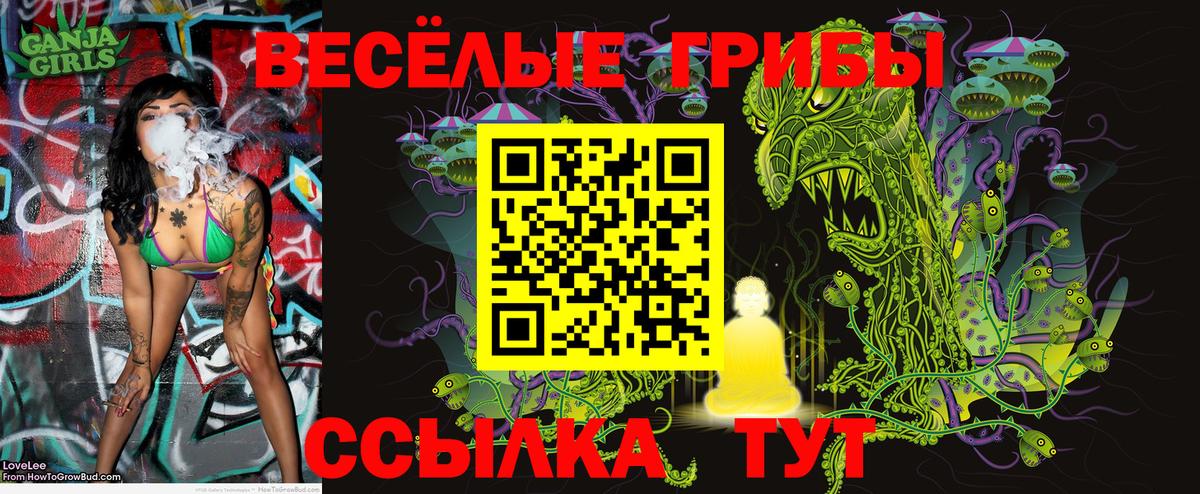 купить   Галлюциногенные грибы мухоморы  Псилоцибиновые грибы Psilocybine cubensis  Вход с VPN  Верхний Уфалей 