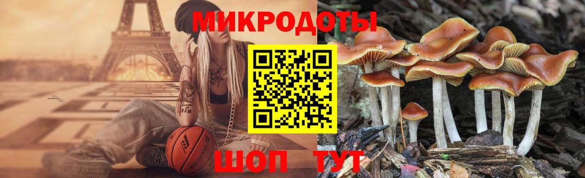 Галлюциногенные грибы Psilocybine cubensis Верхний Уфалей